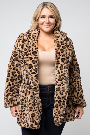 Mesh leopard & chain print surplice bodysuit – RK Collections Boutique